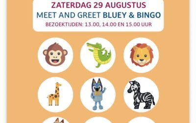 Dierenbingo Bluey en Bingo