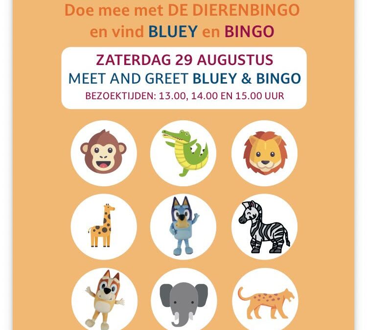 Dierenbingo Bluey en Bingo